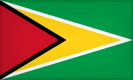 Bandera de Guyana